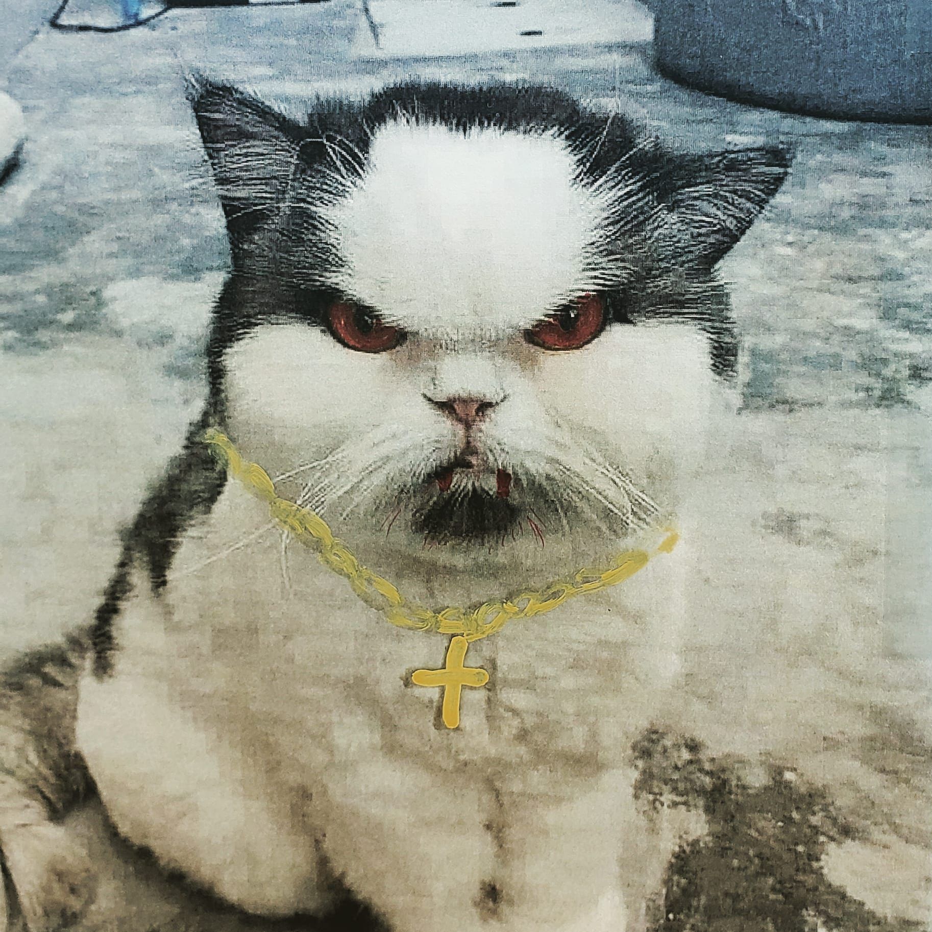 Profile of Sam Woodbury