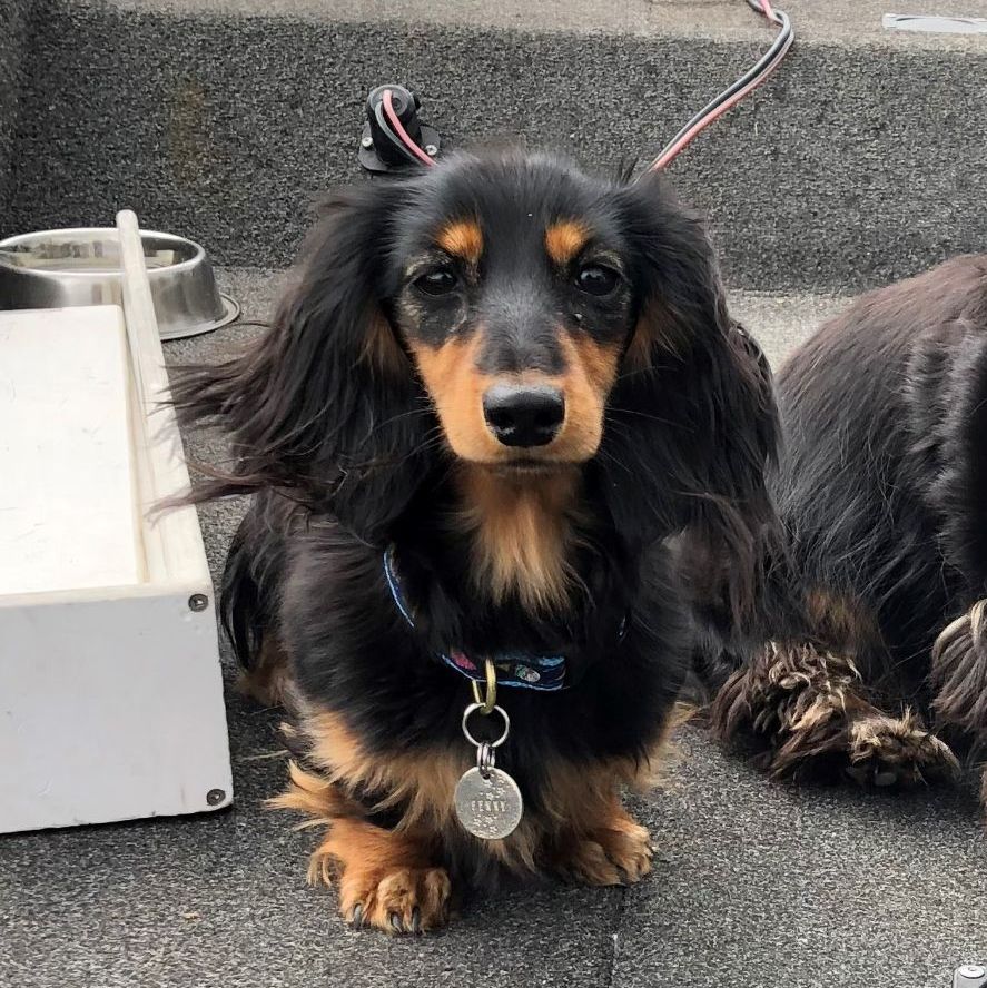 Profile of Josh Miller