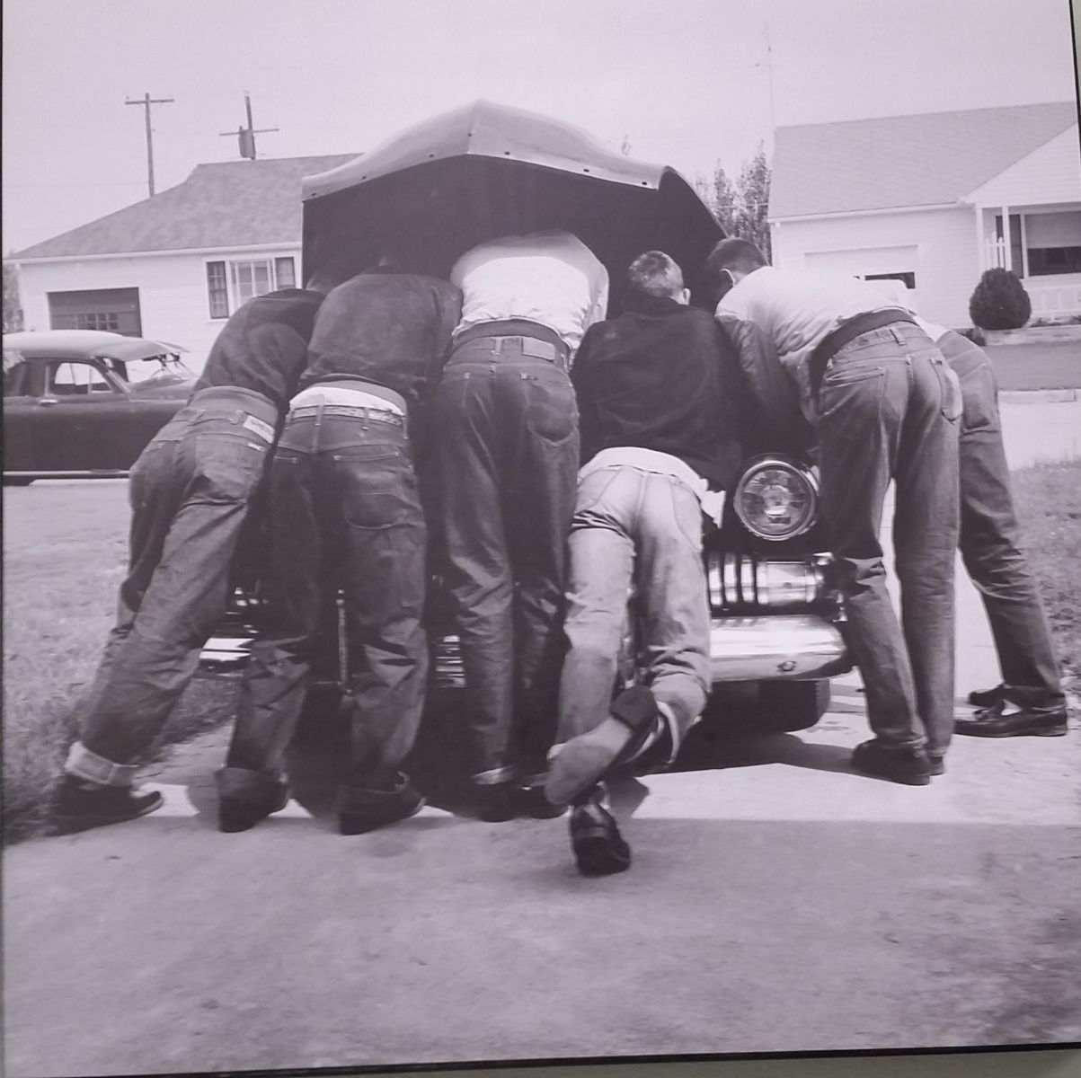 Profile of L.Fred Hayes