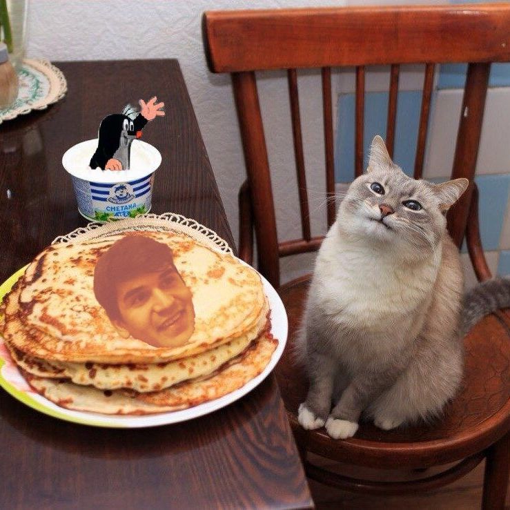 Profile of Milan Plachy