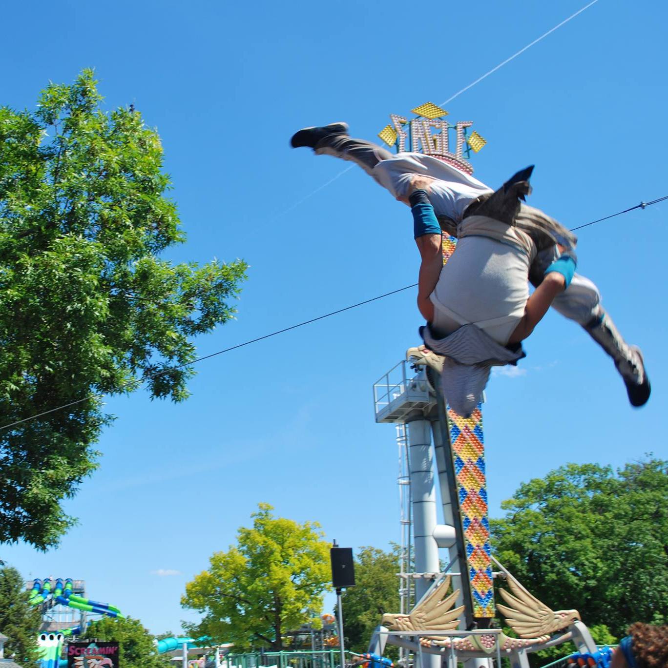 Profile of Sam Softich