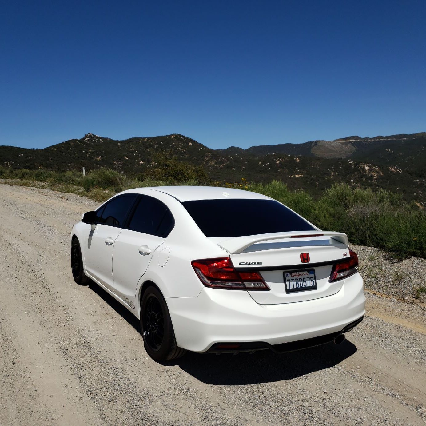 Profile of Joseph Adelizzi