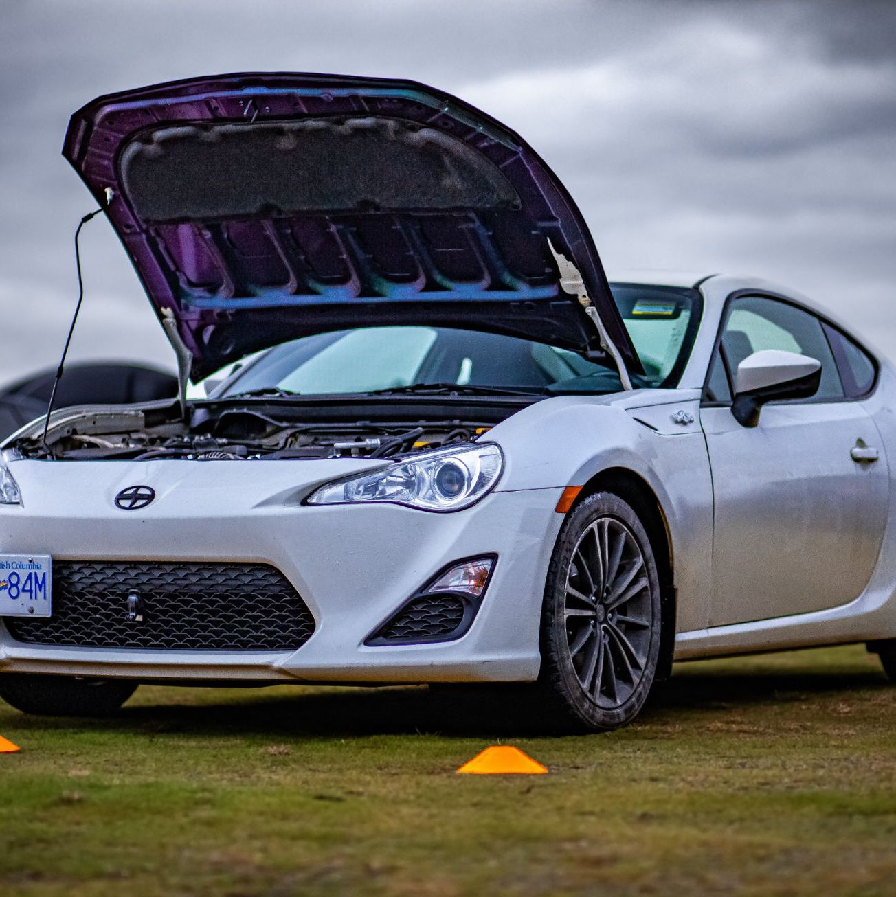 Profile of Nicolas Pereira