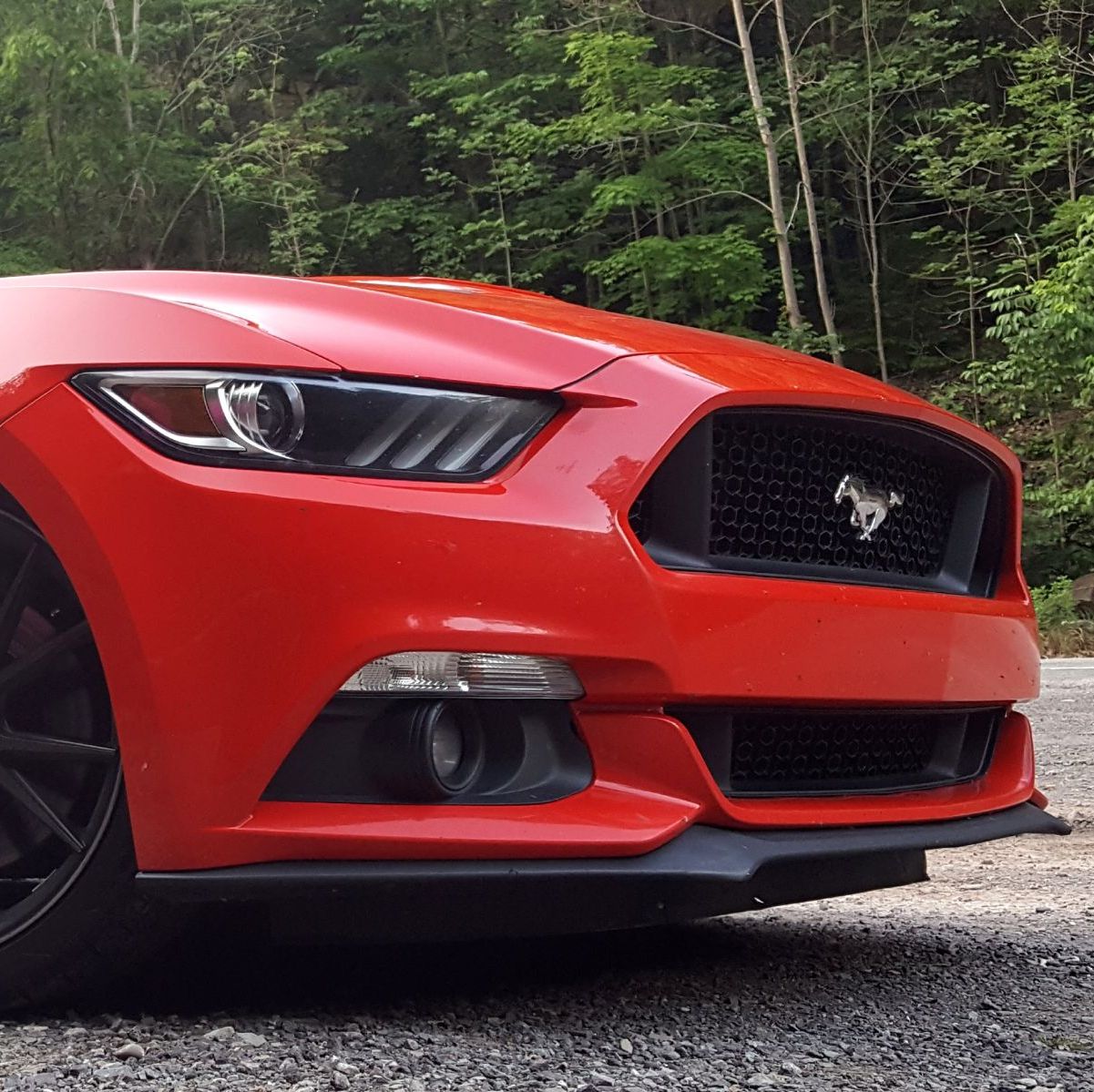 Profile of Eric Meese