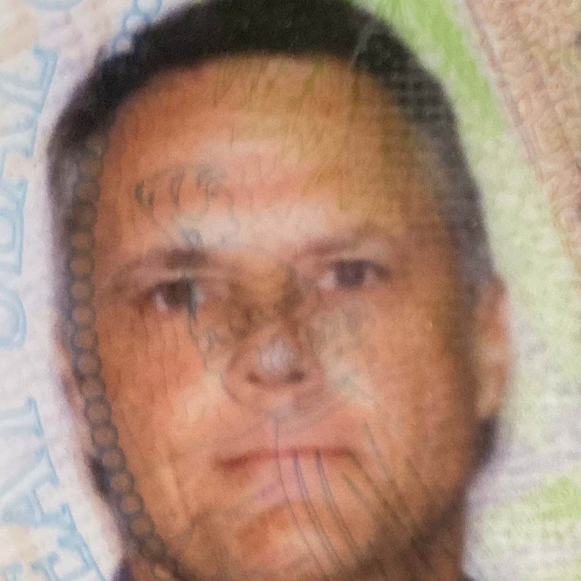 Profile of Steven Hines