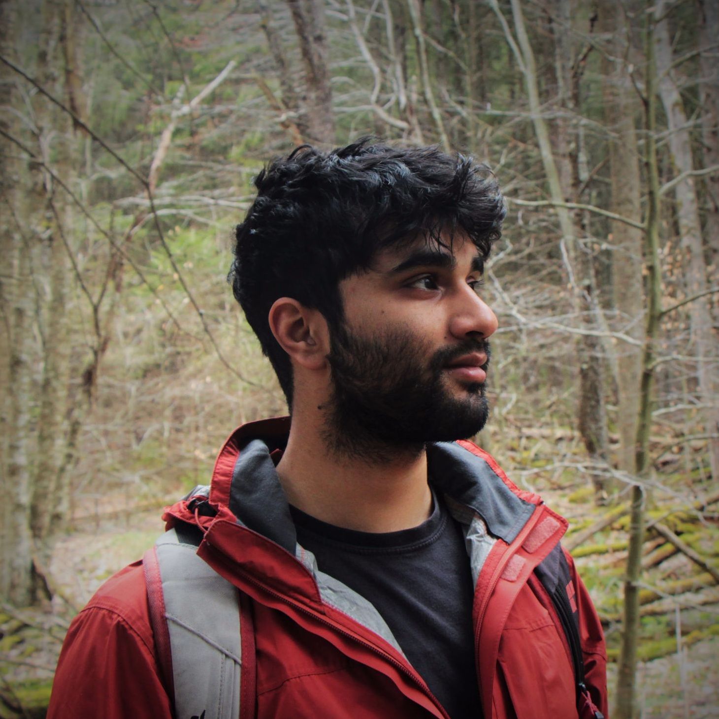 Profile of Victor Roy