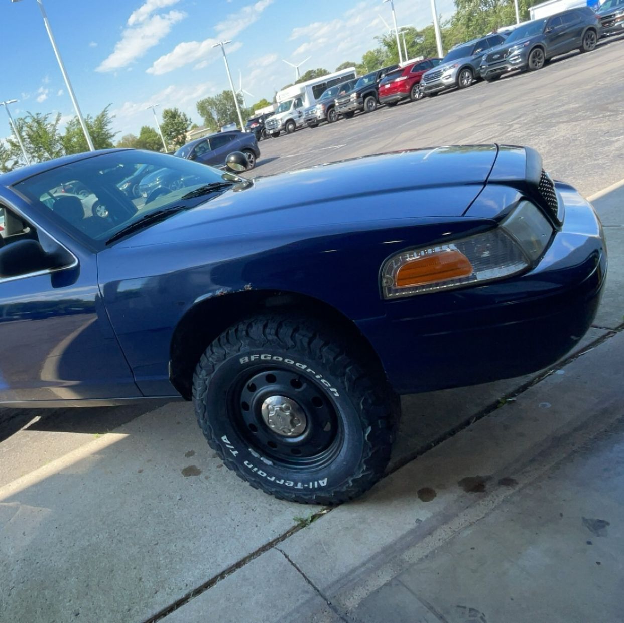 Profile of Chip Rioch