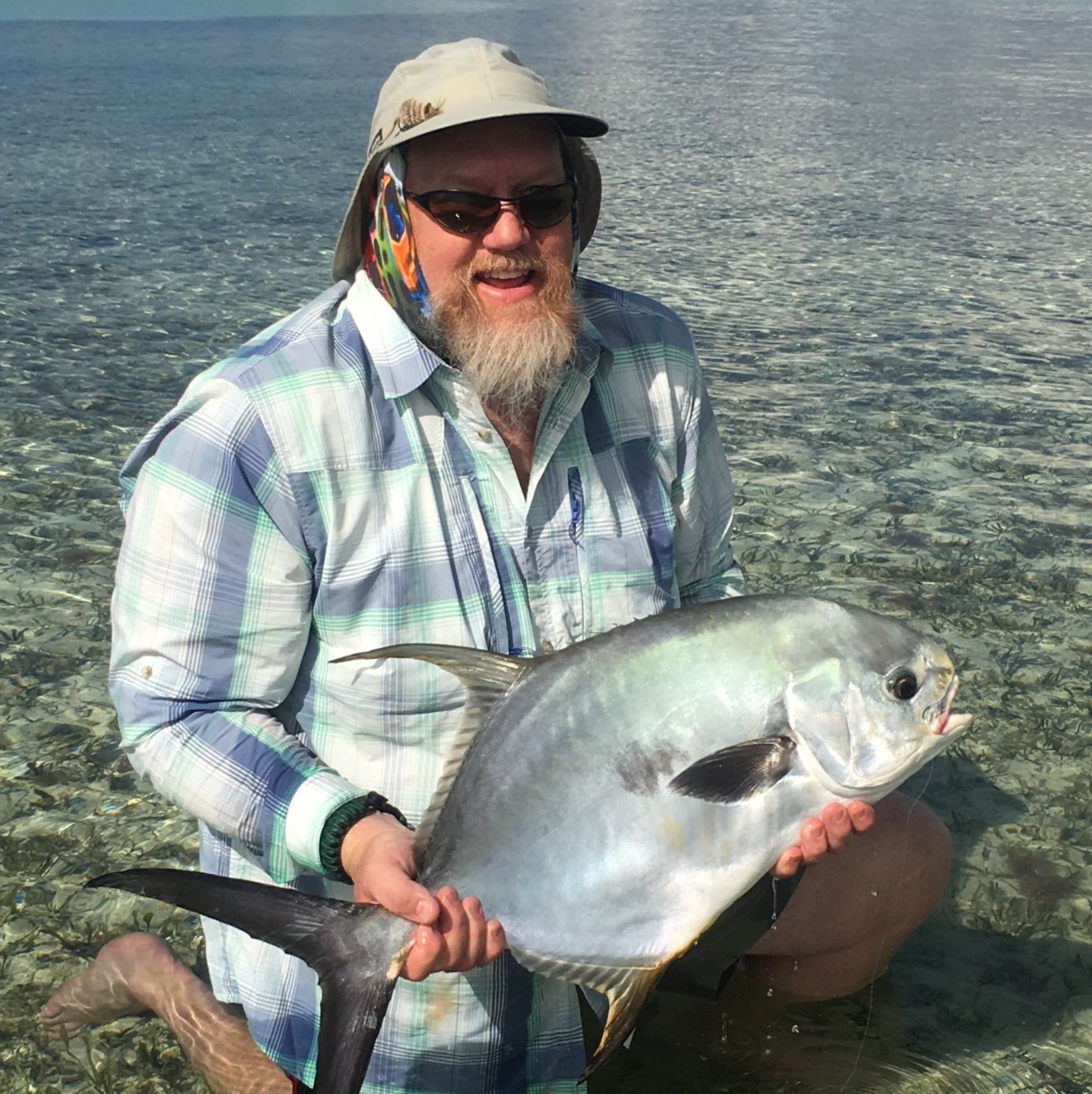 Profile of Terry Putnam