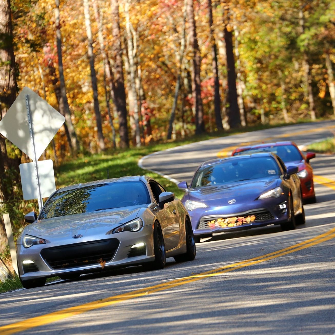 Profile of William Hancock