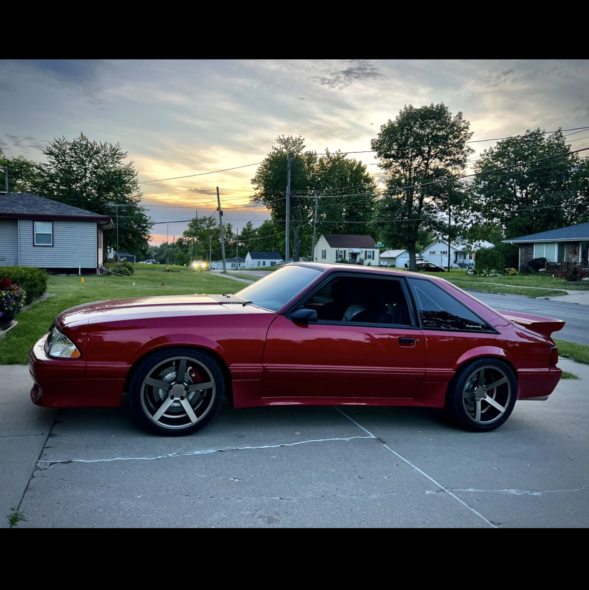 Profile of Blane Wilkens