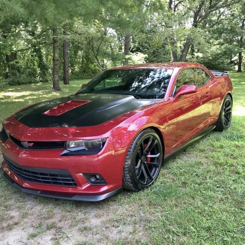 Profile of David Cookman