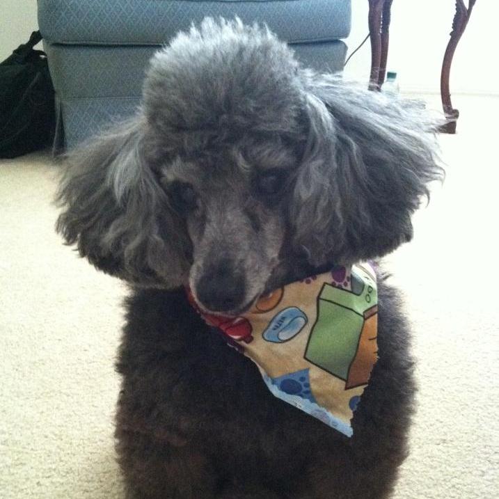 Profile of Ed Havrilla