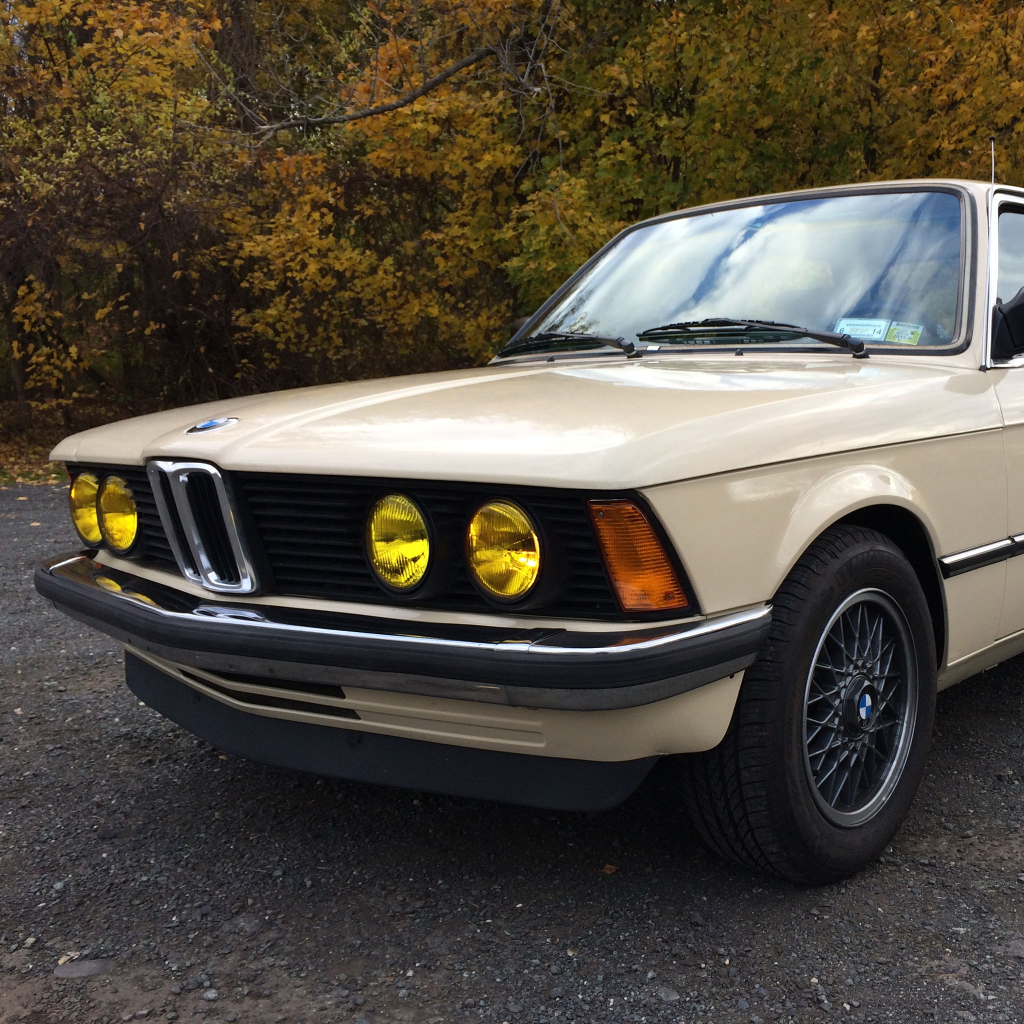 Profile of Frank Konisky