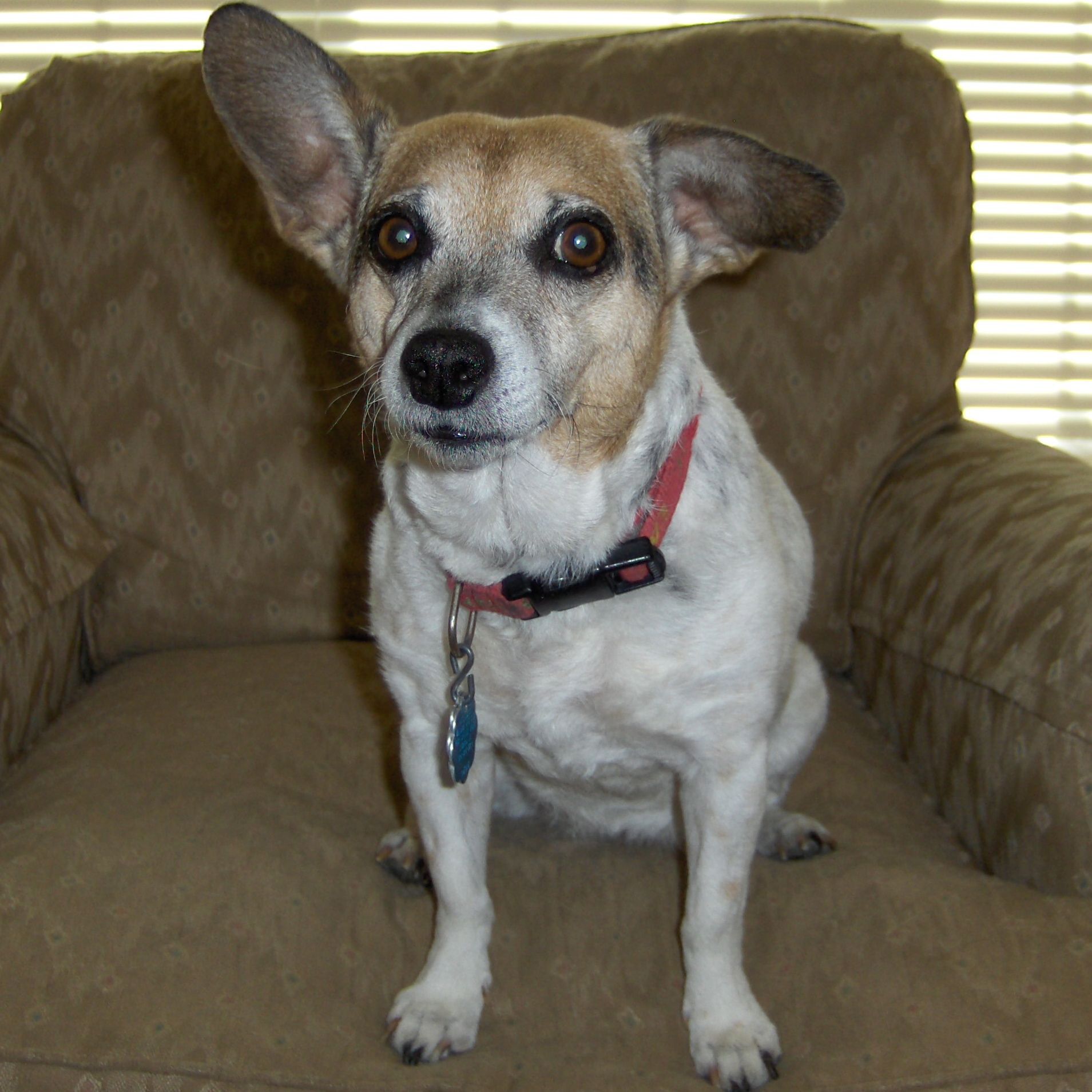 Profile of Carl Roberts