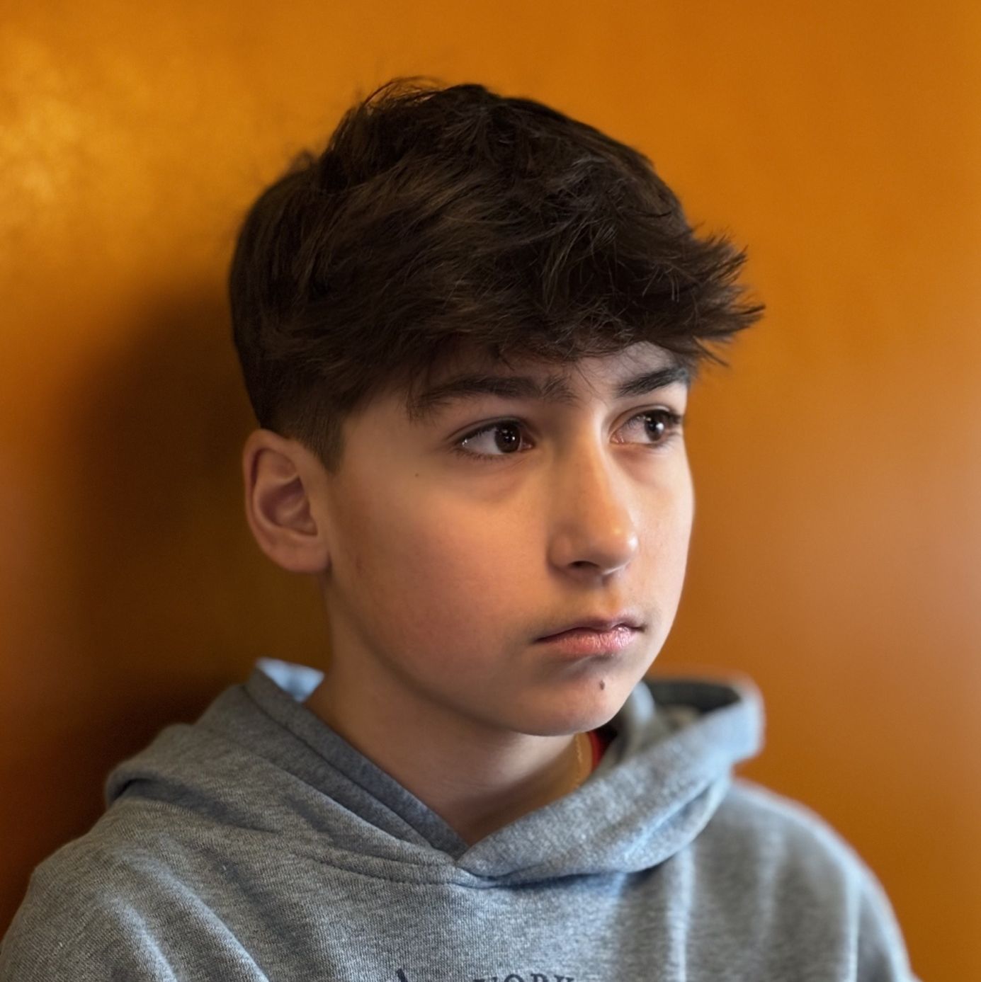 Profile of Enzo Felix