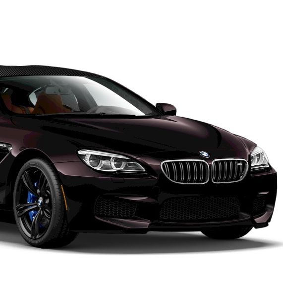 Profile of Stephen Day