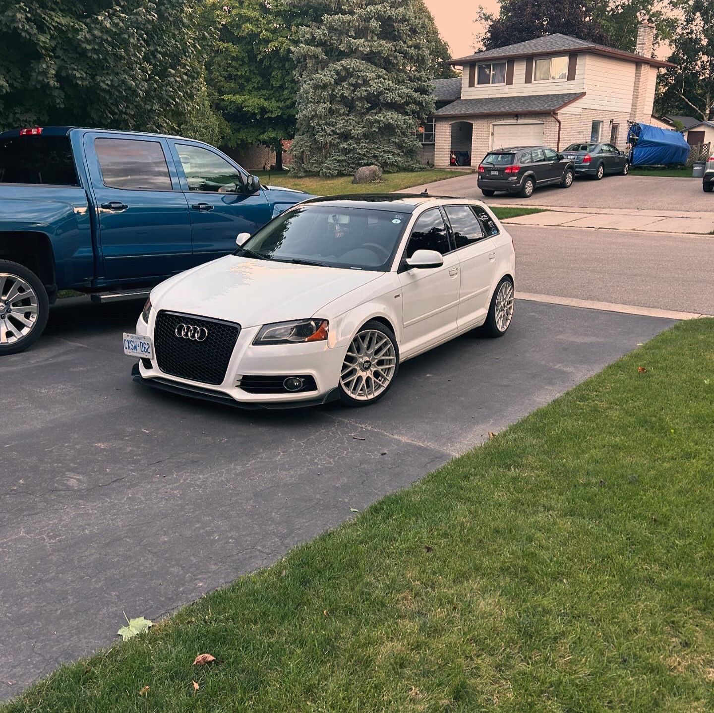 Profile of Will Mcdougall