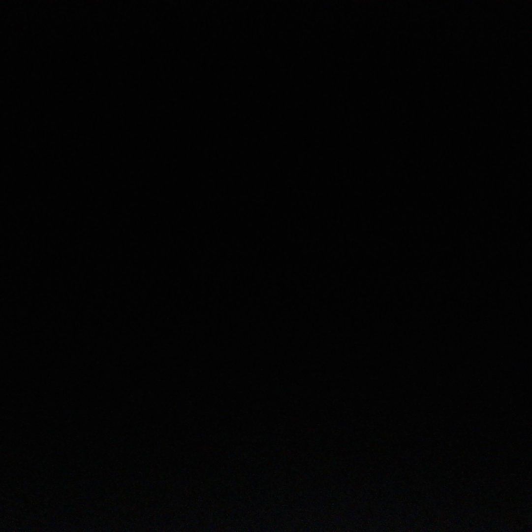 Profile of Daniel Salomone