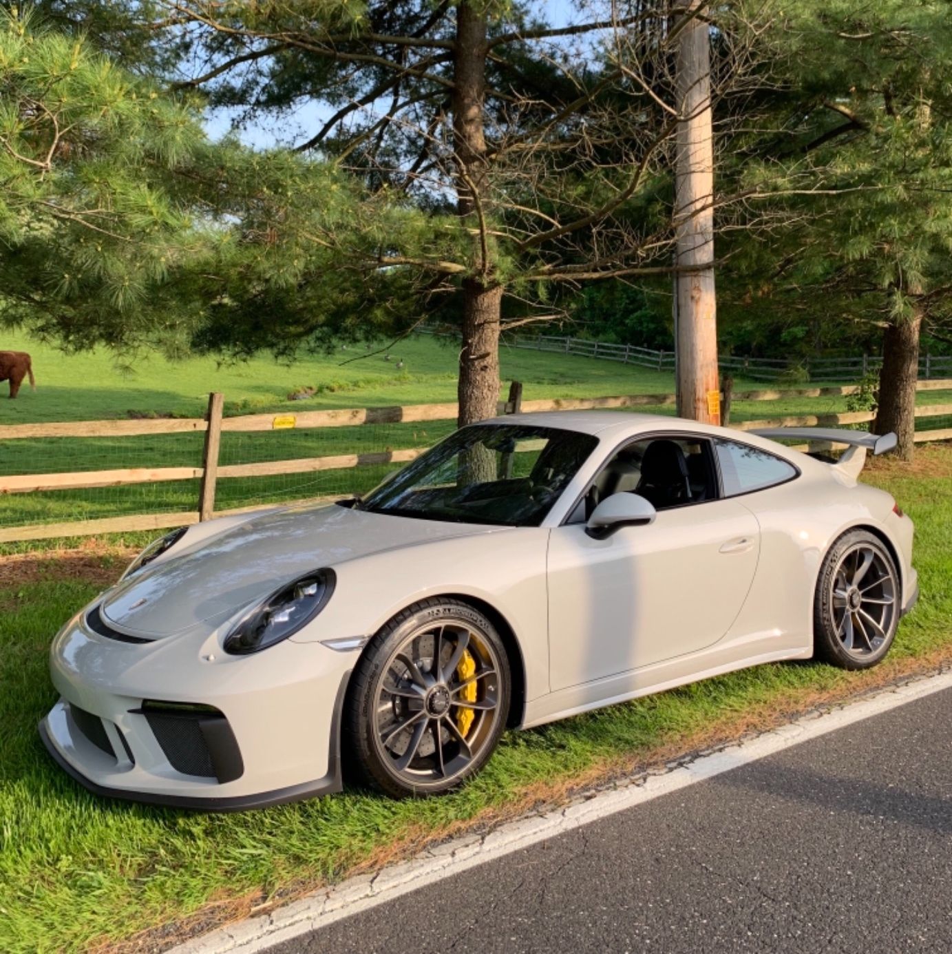 Profile of Bernard Hamilton