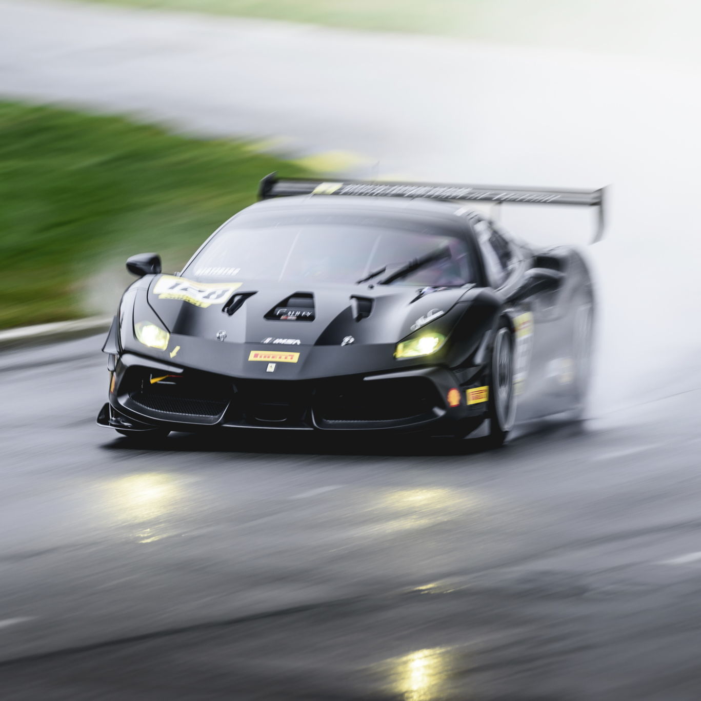 Profile of Rachel Bayless