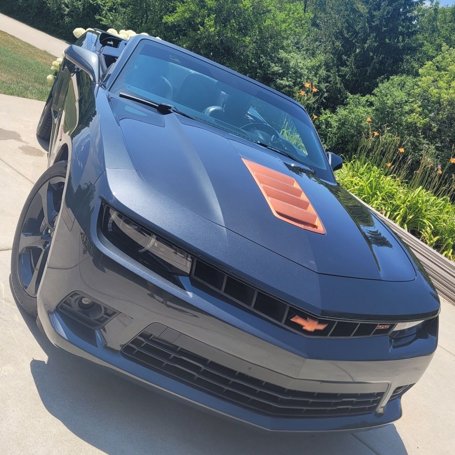 Profile of Christopher Randlett