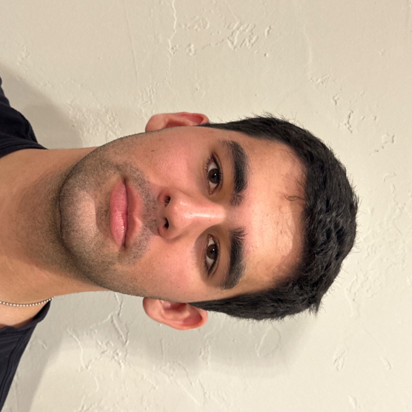 Profile of Bijan Zarrinkhameh