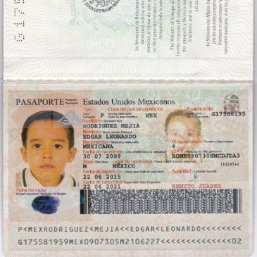 Profile of Edgar Rodriguez