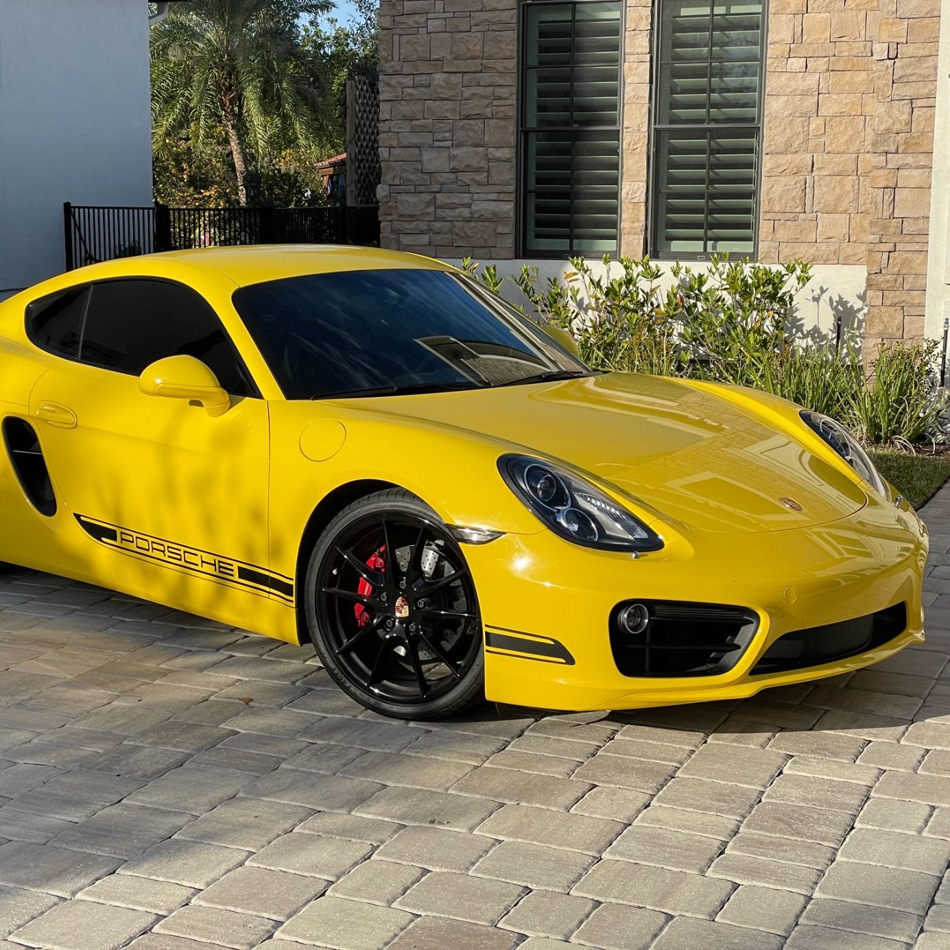 Profile of Matthew Sara