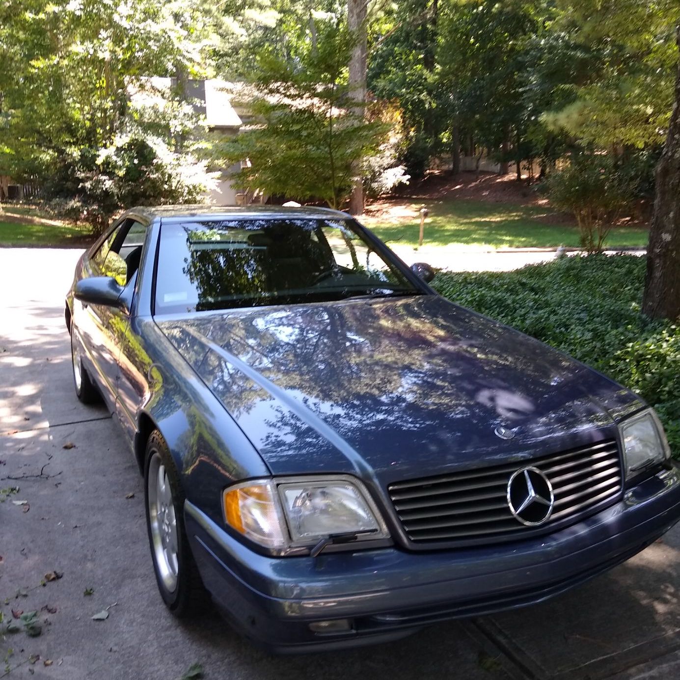 Profile of Sam Kamber