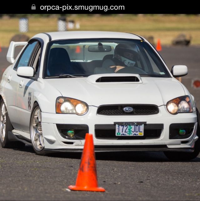 Profile of Nick Hollyman