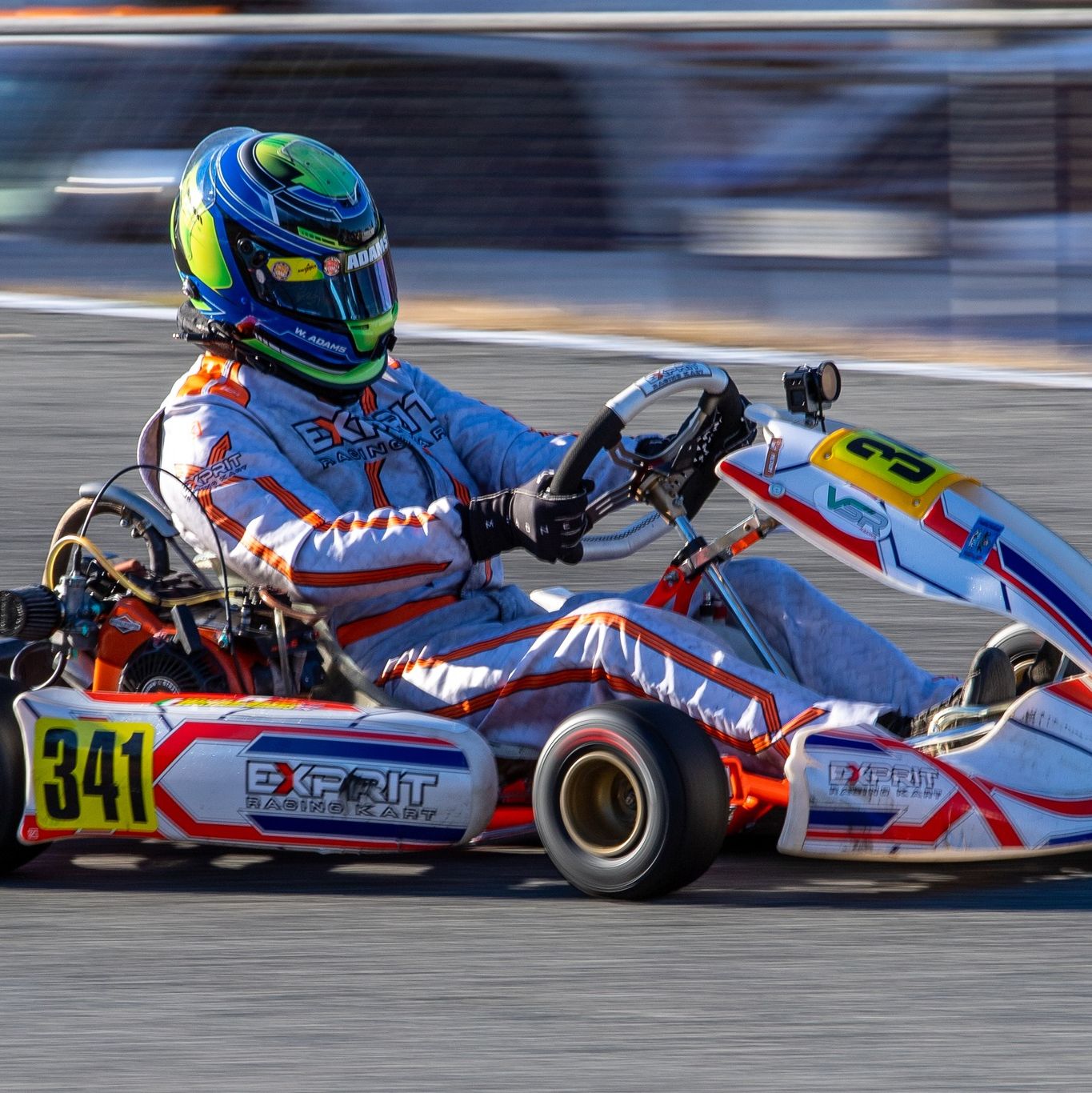 Profile of William Adams