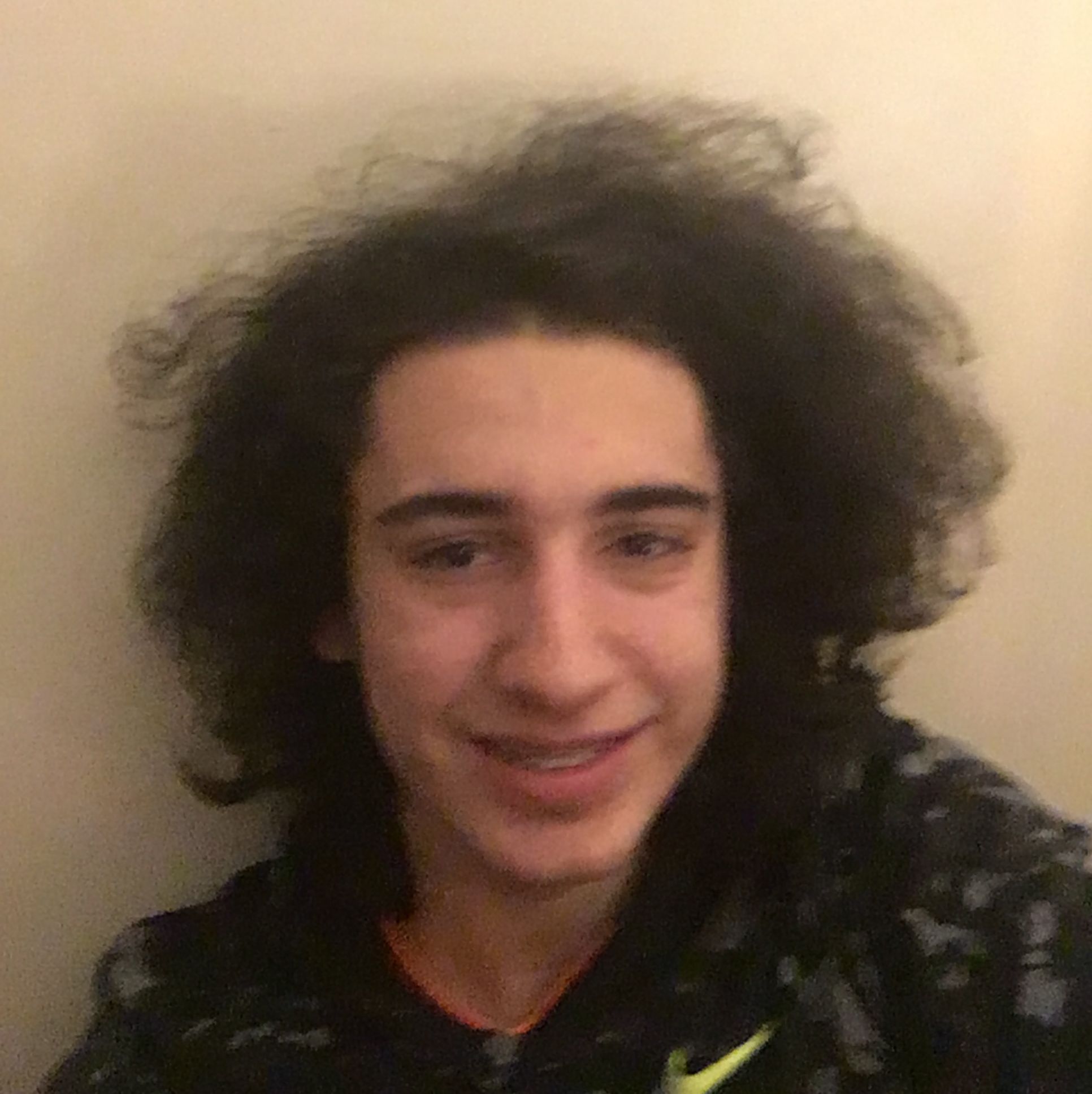 Profile of Toma Sucin