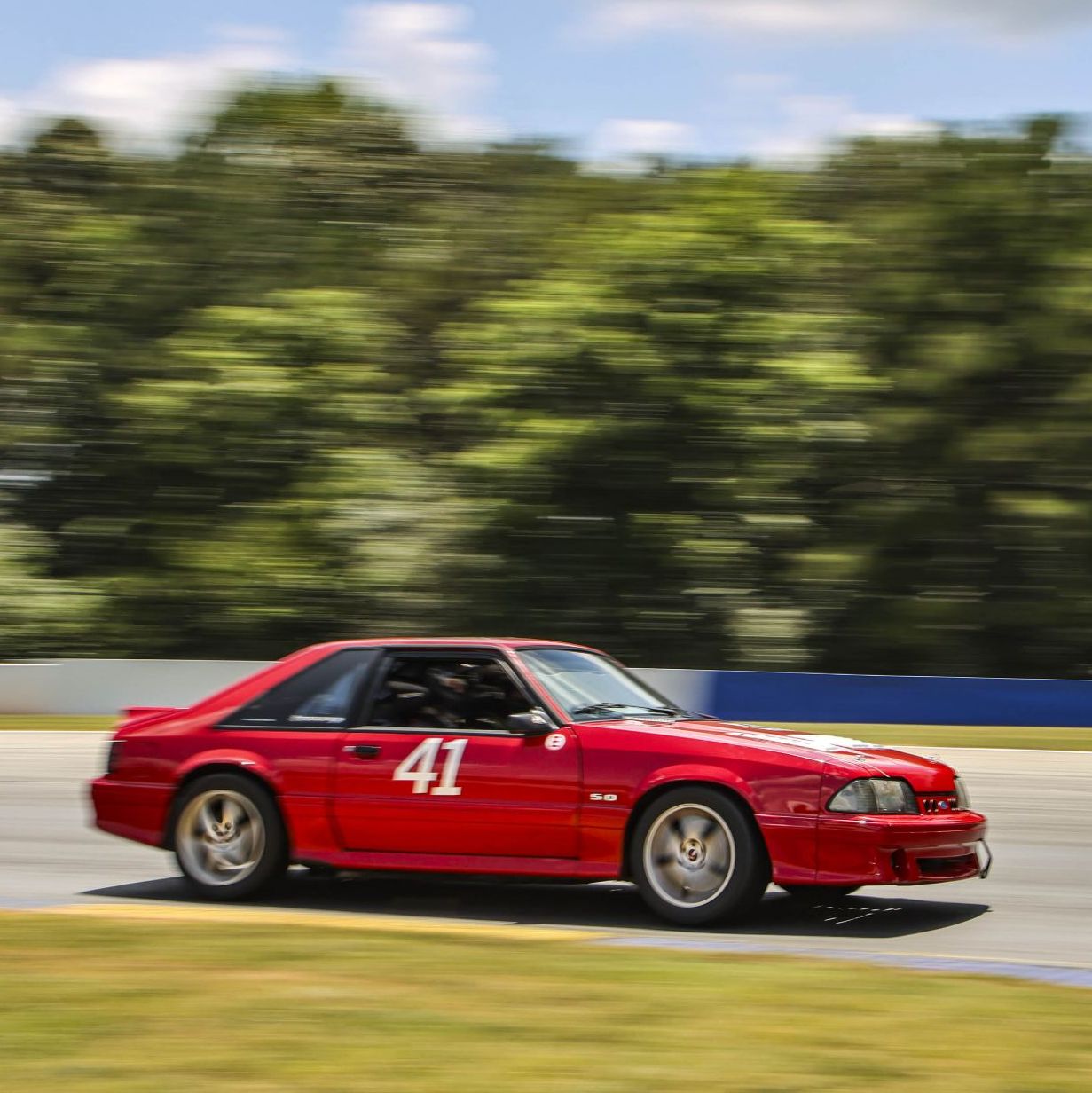 Profile of Patrick Curtis