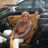 Profile of Karen Harrison