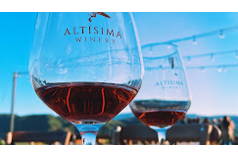 Porsches and Pours - Altisima Vineyard