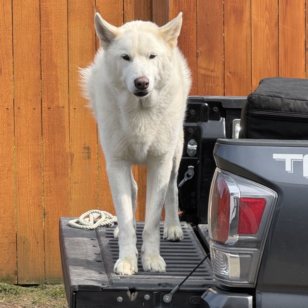 Profile of Jordan Worley