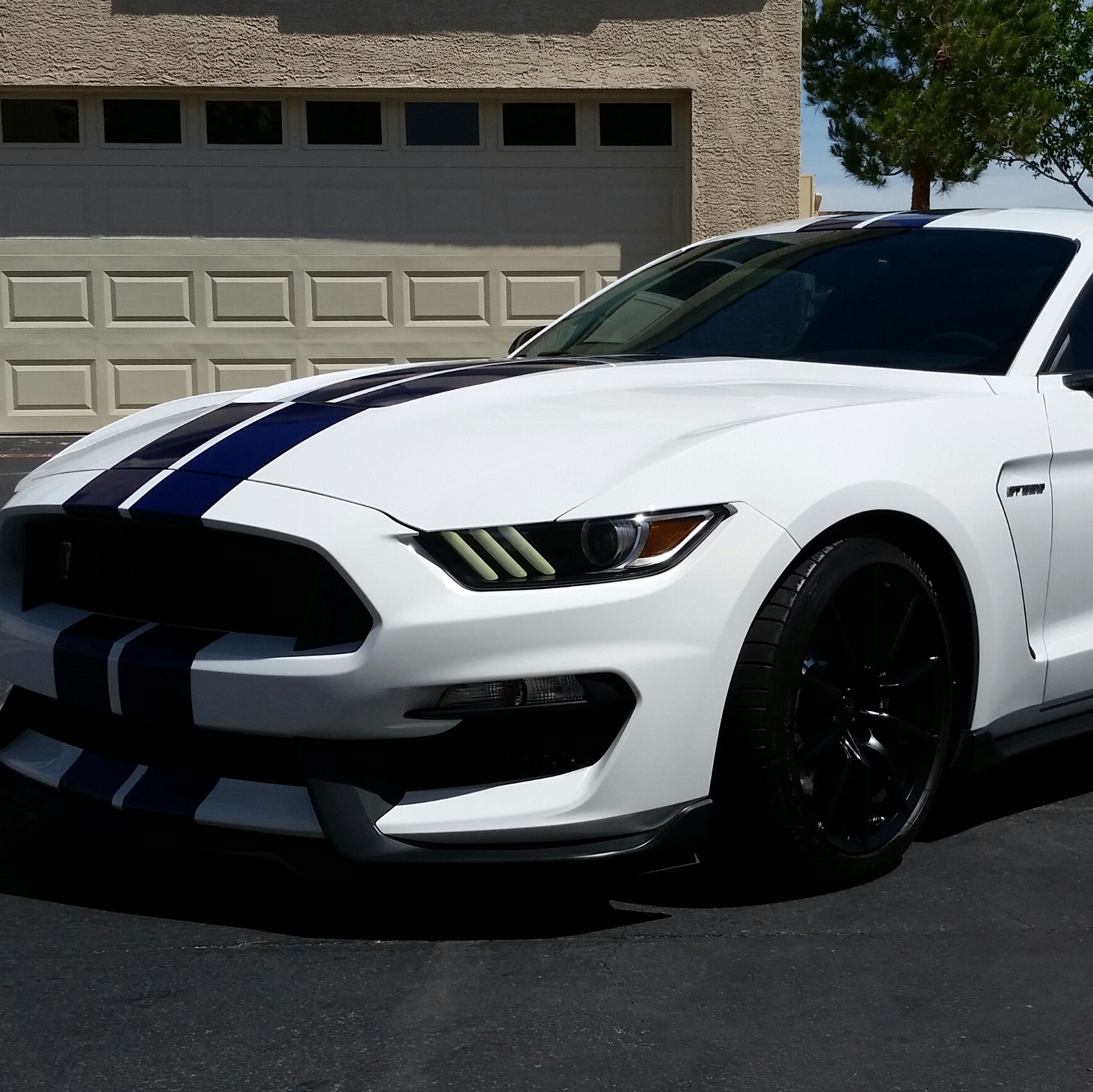 Profile of Adam Bragdon