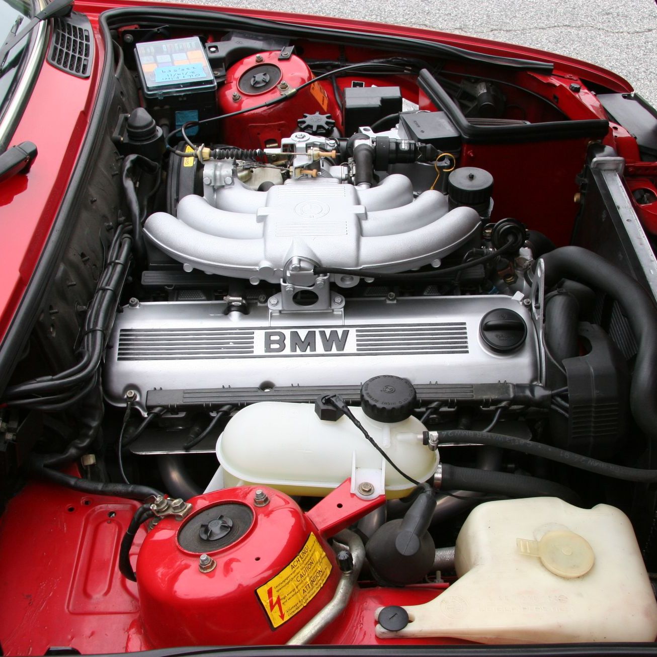 Profile of Stephen Kolesar