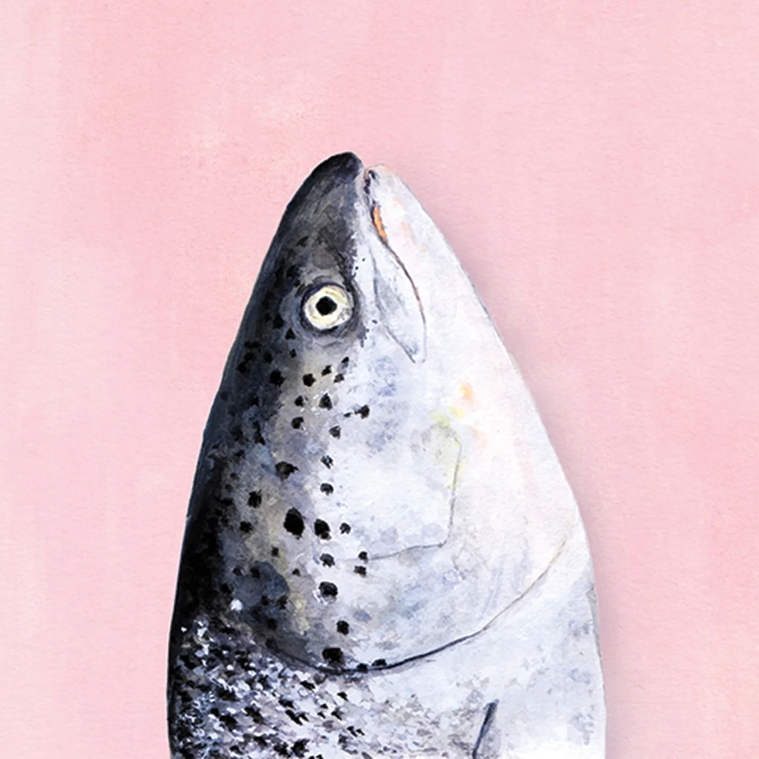 Profile of Paul Trout