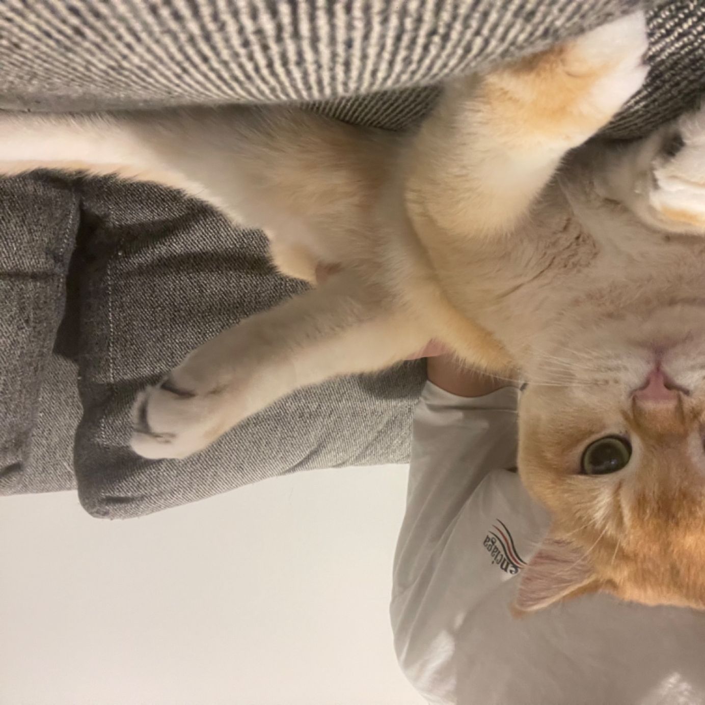 Profile of Hanyuan Zhang