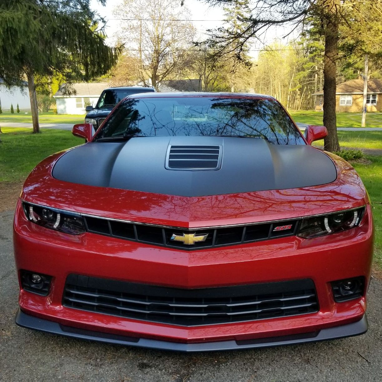 Profile of Michael Mann