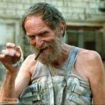 Profile of Craig Inglis