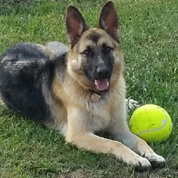 Profile of Garry Hill