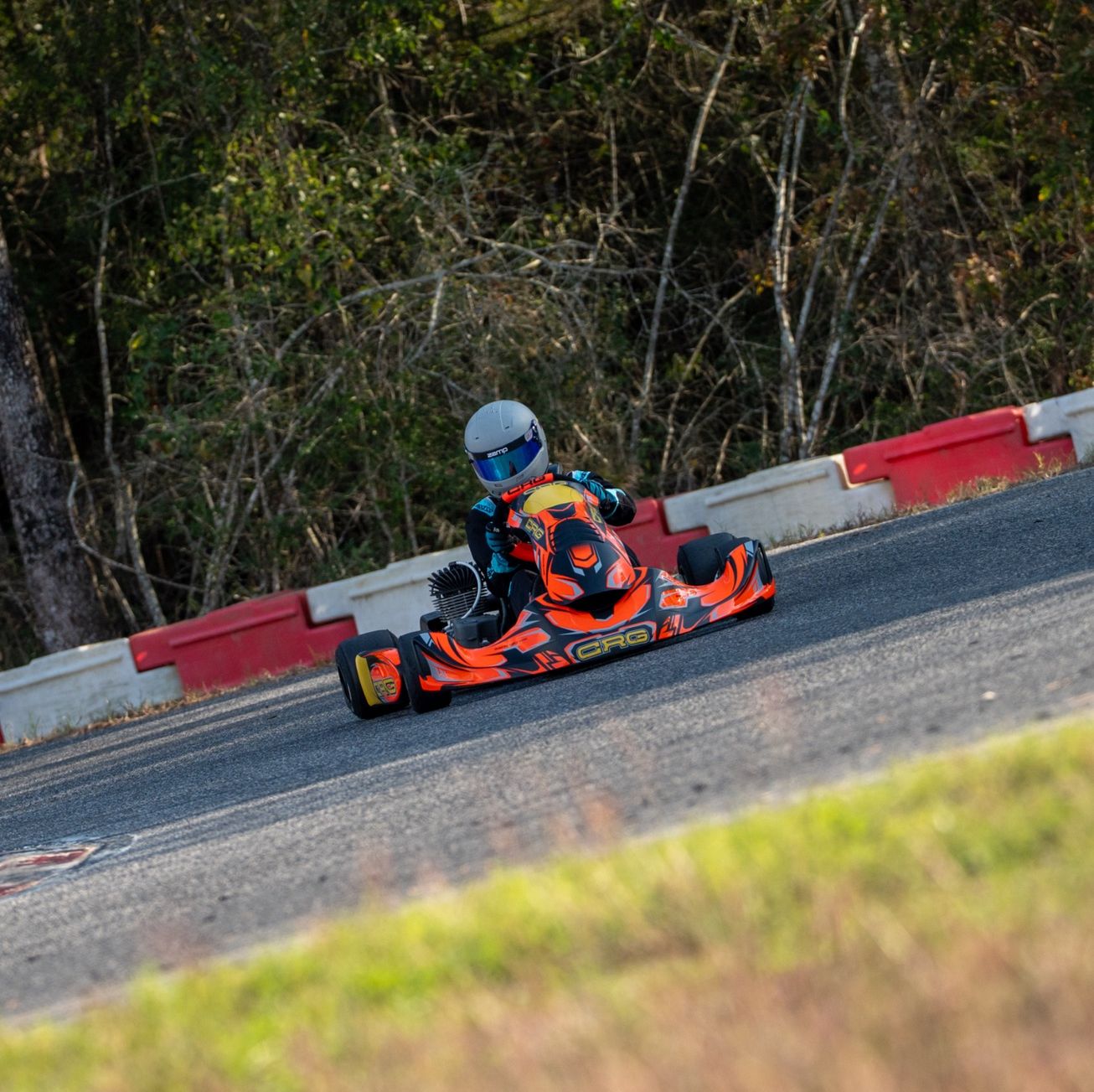 Profile of Rodrigo Polaya