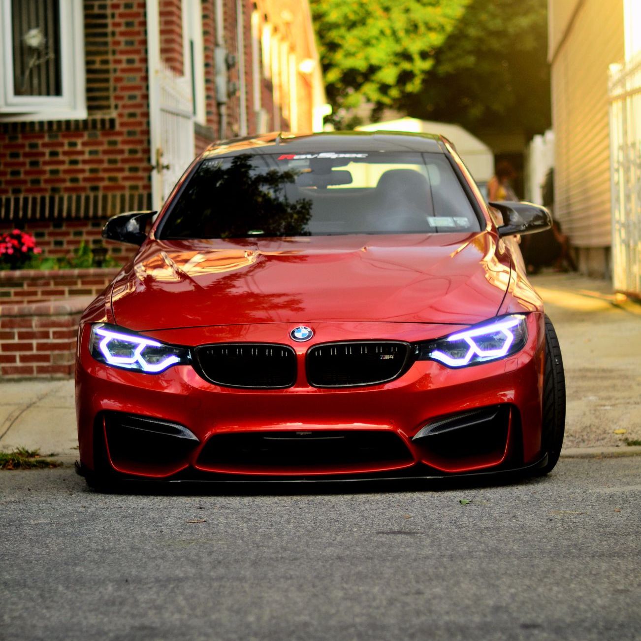 Profile of Jorge Jiram