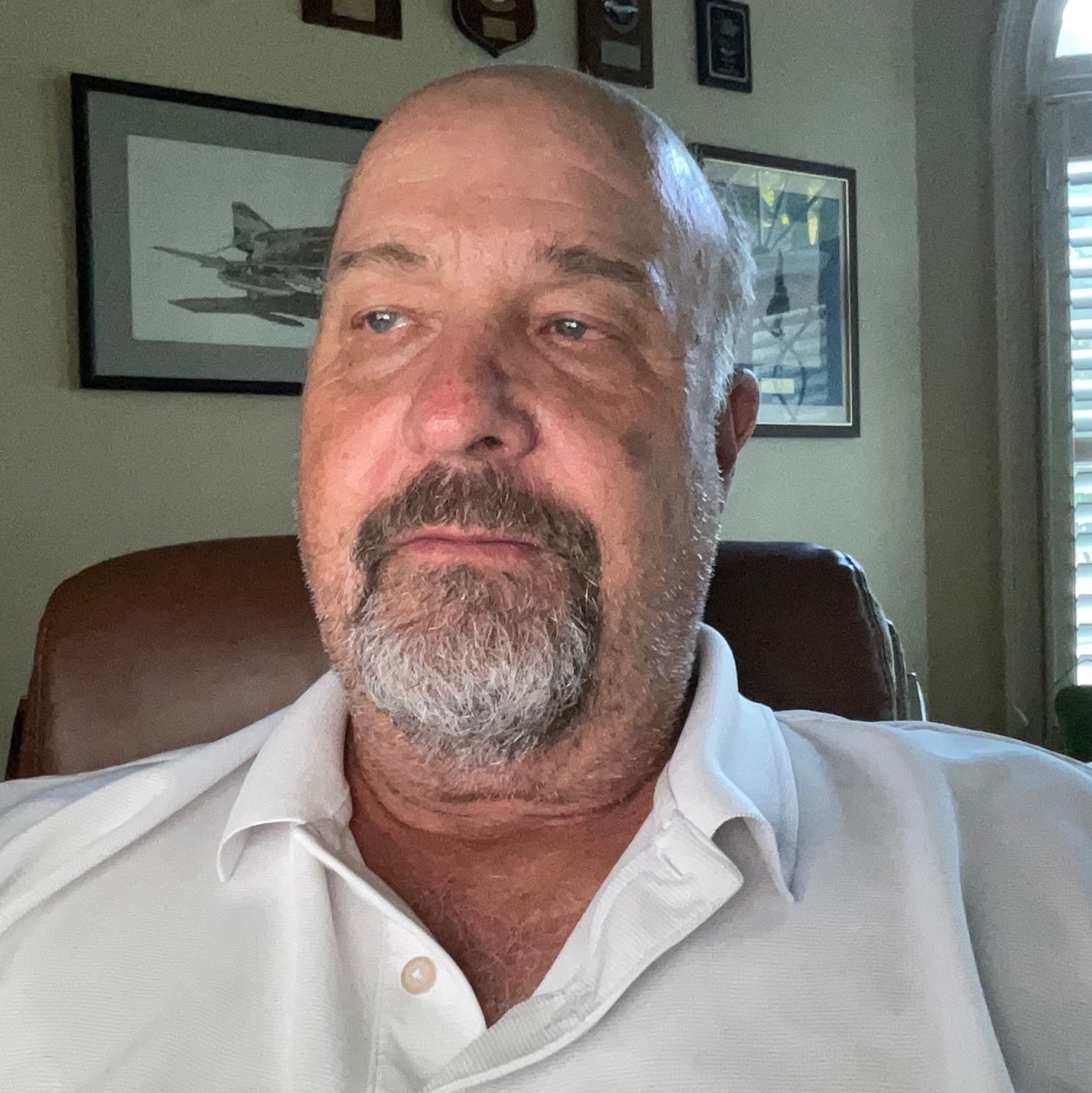 Profile of David Carroll