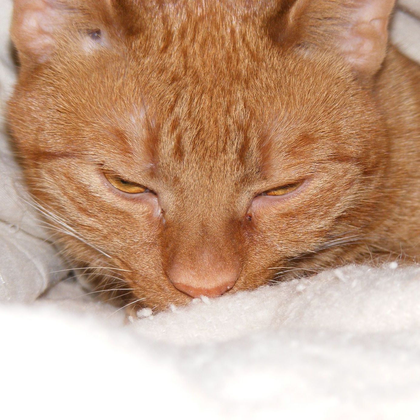 Profile of Geraldine Powell