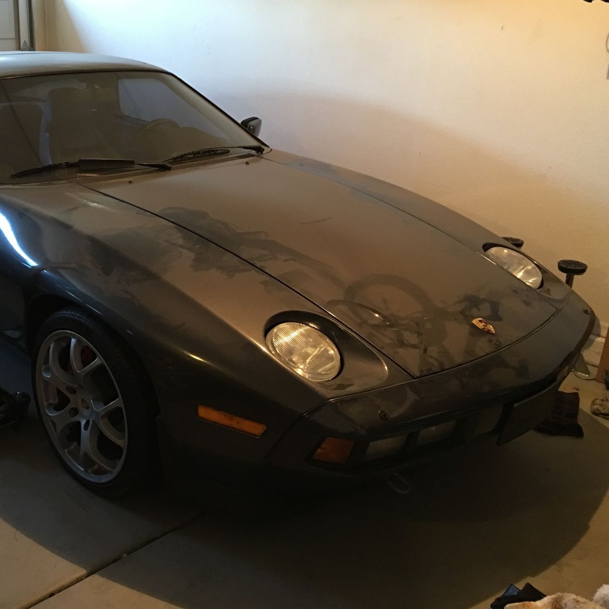 Profile of Cary Dennis