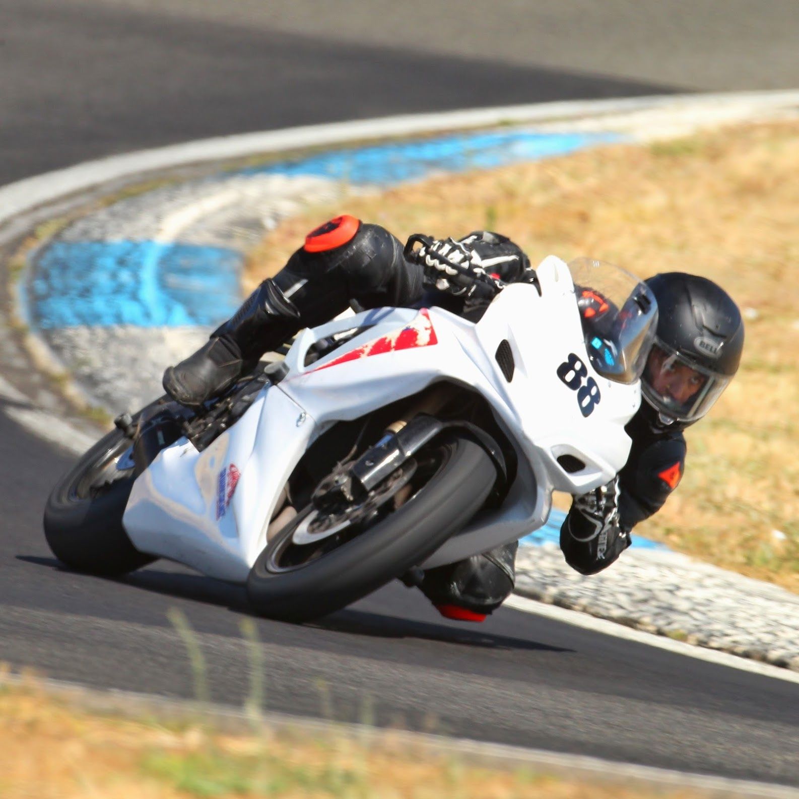 Profile of Tico Curling