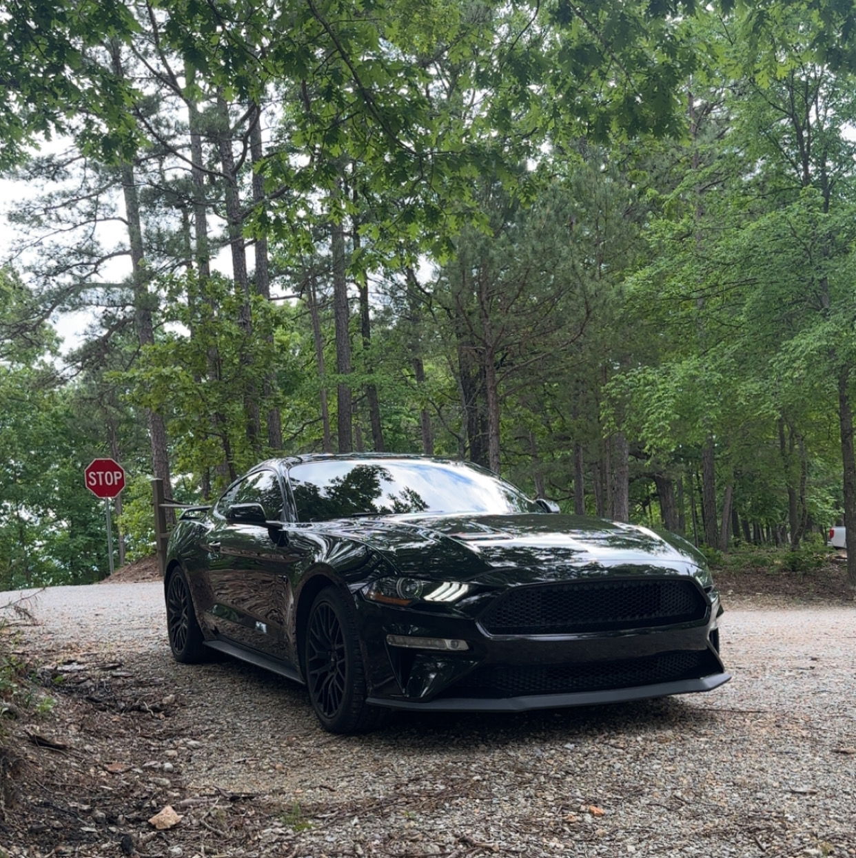 Profile of Carlos Guzman